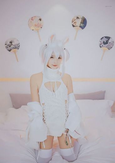 寻汉计在线观看免费完整版_BD动漫免费观看